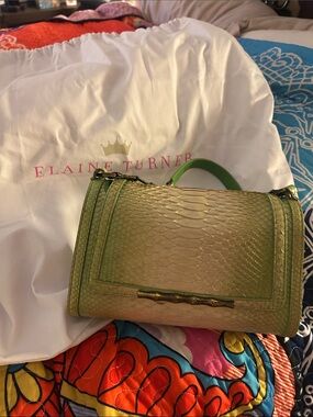 Elaine Turner Green Ombre Python-Embossed Crossbody Top-Handle Bag
